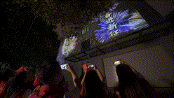 图7(gif)